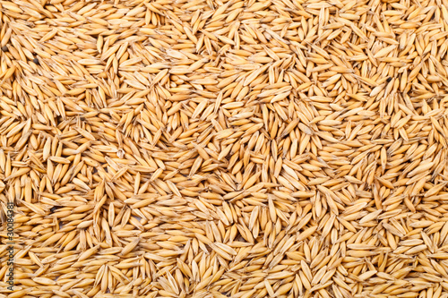 Crop of oats