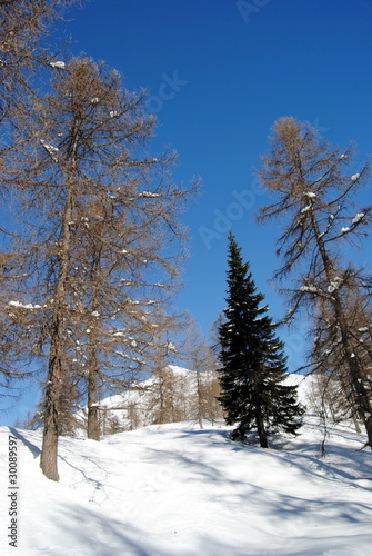 Wallpaper Mural Azurro e neve Torontodigital.ca