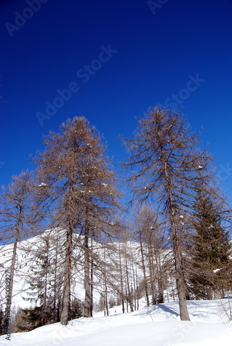 Wallpaper Mural Dei del cielo Torontodigital.ca