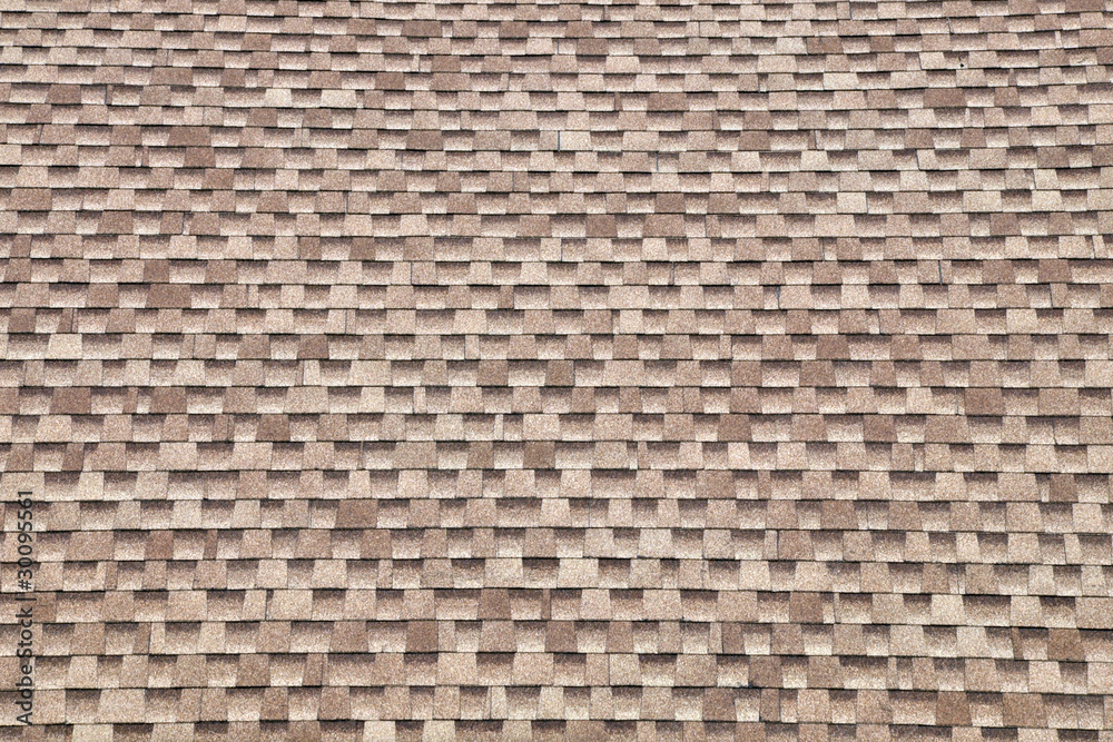 brown check brown check