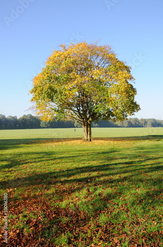 Herbstansichten