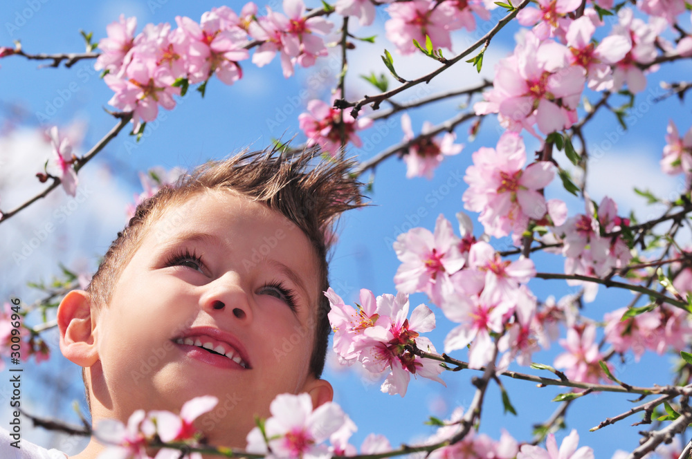 Frühling Frühling
