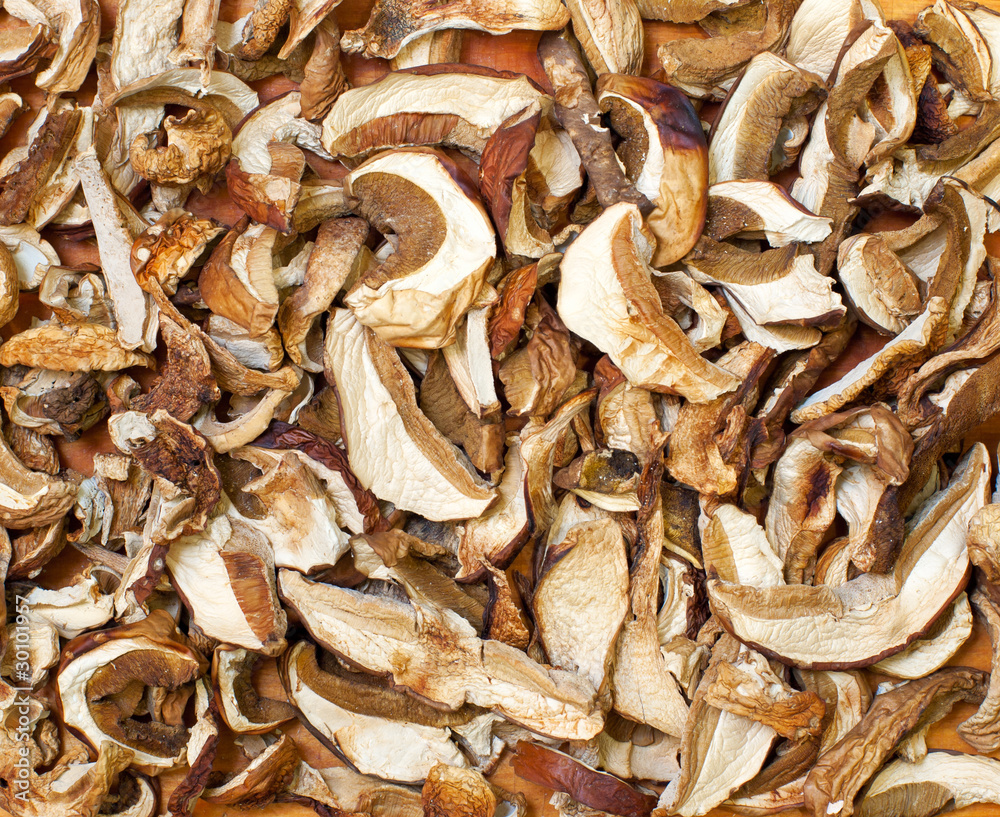 mushrooms mushrooms