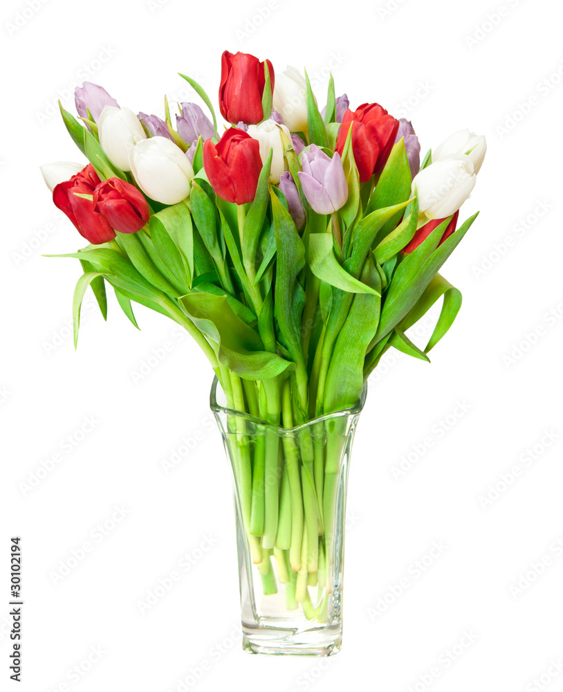 tulips