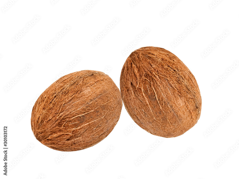 coconuts isolated on white background coconuts isolated on white background
