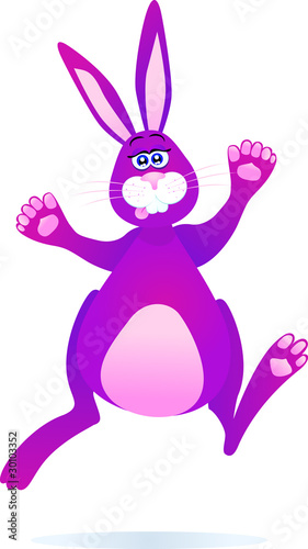 Rabbit jumping - Coniglio che salta