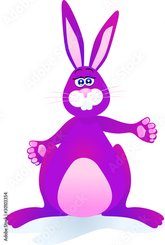 Funny rabbit