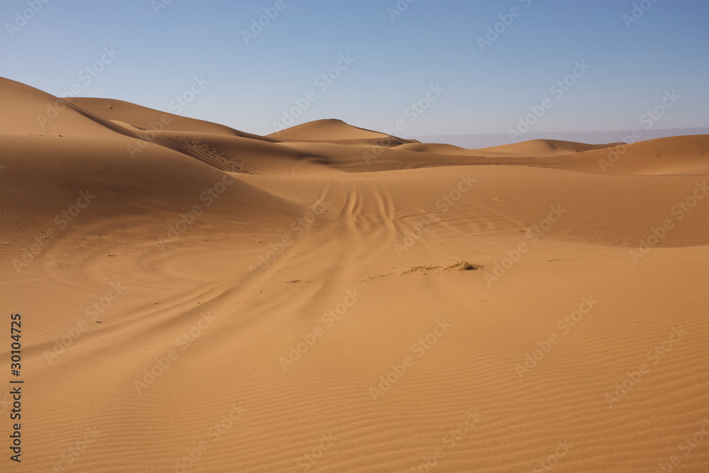 Majestic dune landscape