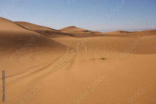 Majestic dune landscape