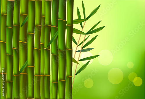 Bamboo background. Vector