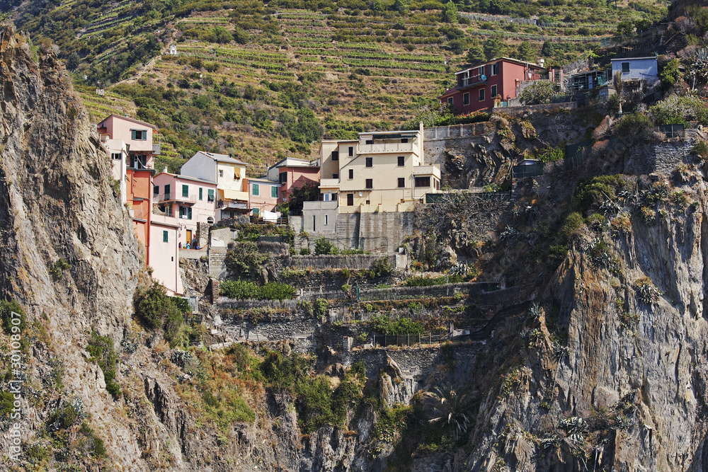 Naklejka premium Houses on a cliff, Vernazza
