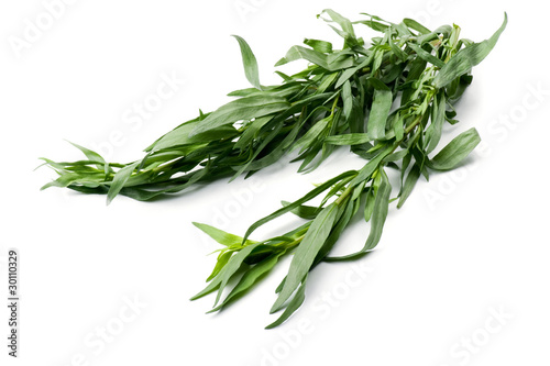 tarragon