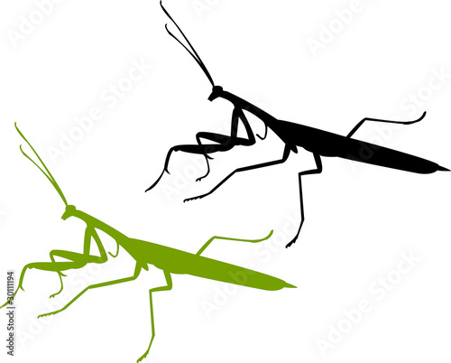 devotee bug silhouette - vector