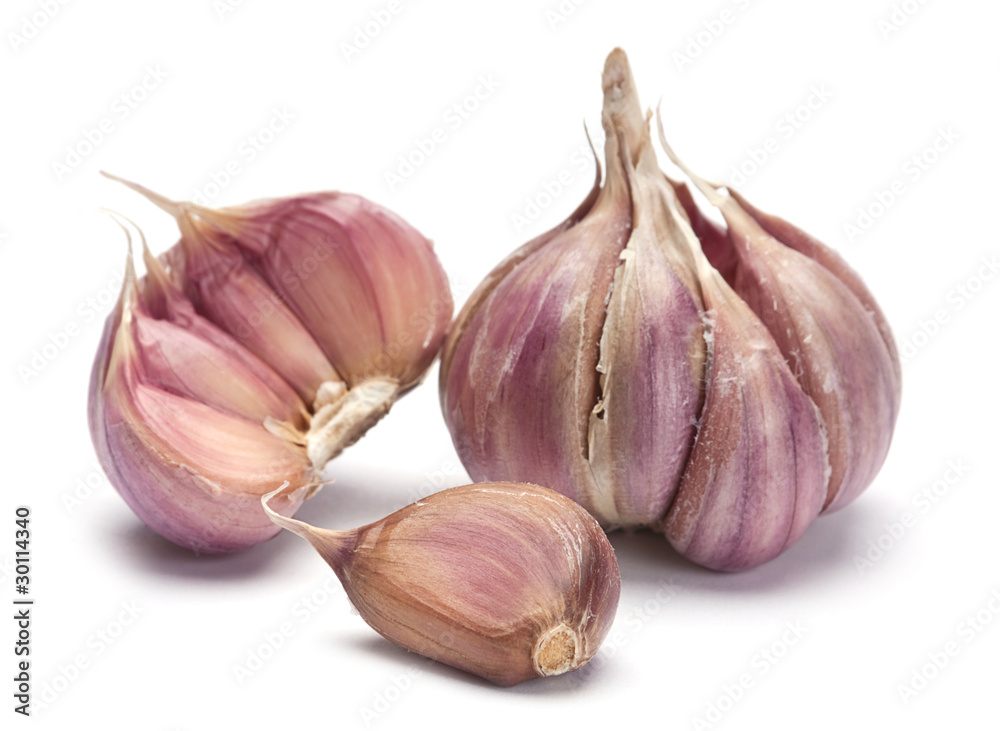 Obraz premium Garlic vegetable