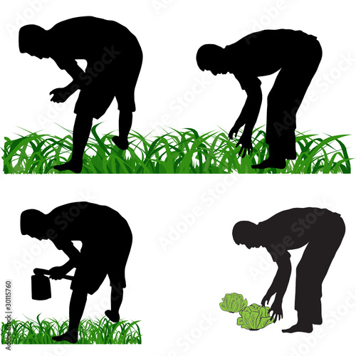 Farmer gardener