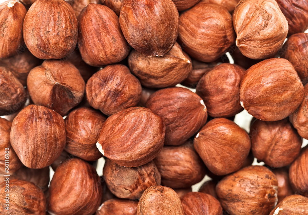 Unshelled hazel nuts isolated on white, food background Unshelled hazel nuts isolated on white, food background