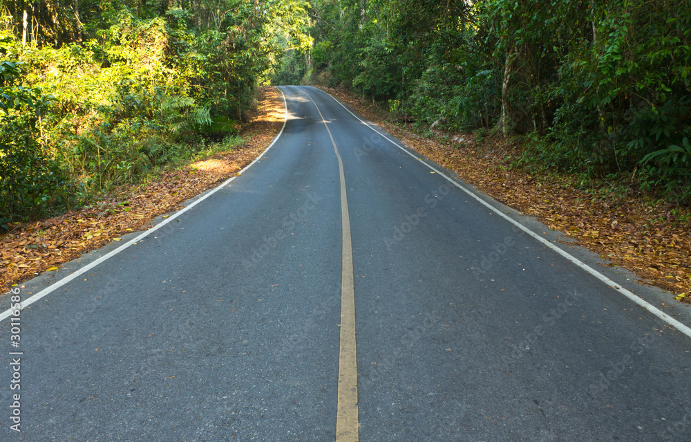 Road in the national park,Thailand Road in the national park,Thailand