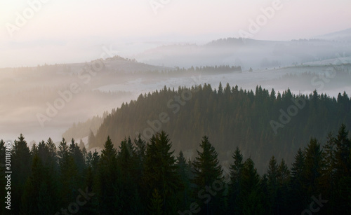 Beautiful foggy sunrise in the mountains © SJ Travel Footage