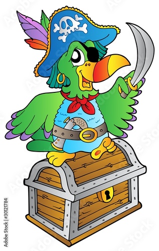 Pirate parrot on treasure chest