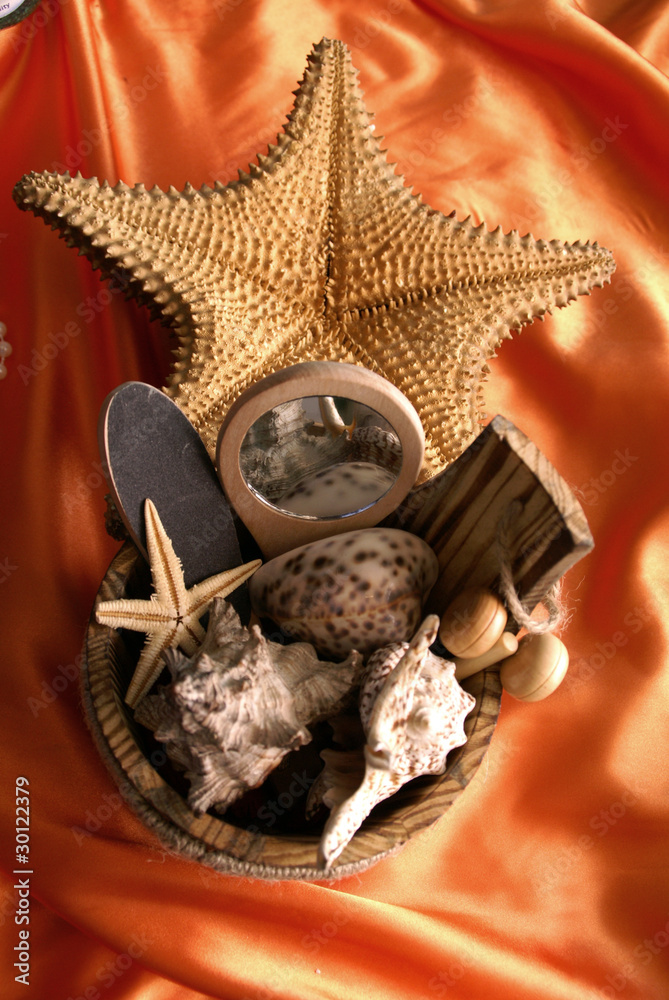 Fototapeta premium Sea composition