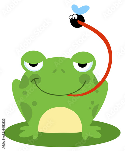 Frog Catching Bug
