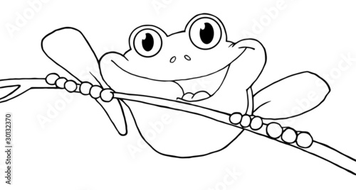 Outlined Happy Red Eyed Tree Frog