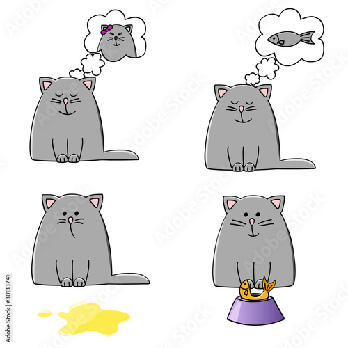 kitten set