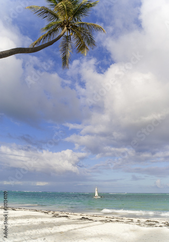 Fototapeta Naklejka Na Ścianę i Meble -  The small sailing  boat near caribbean beach.