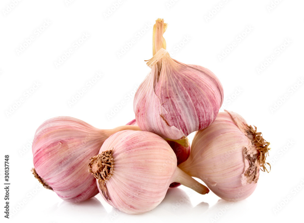 Obraz premium Garlic isolated on white