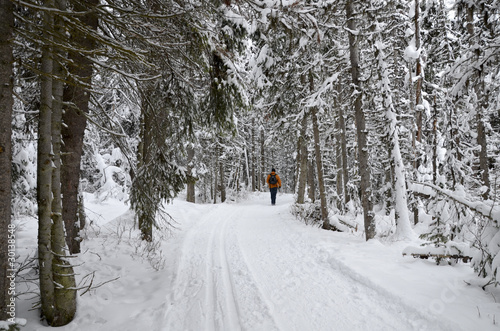 Winter Walk Lake Louise