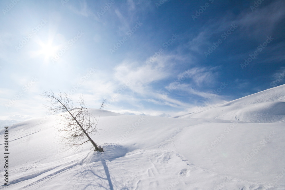 alps covered with snow, bohinj region