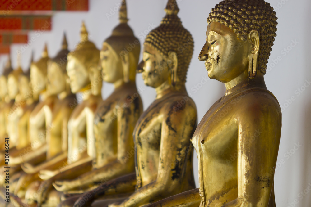 buddha buddha