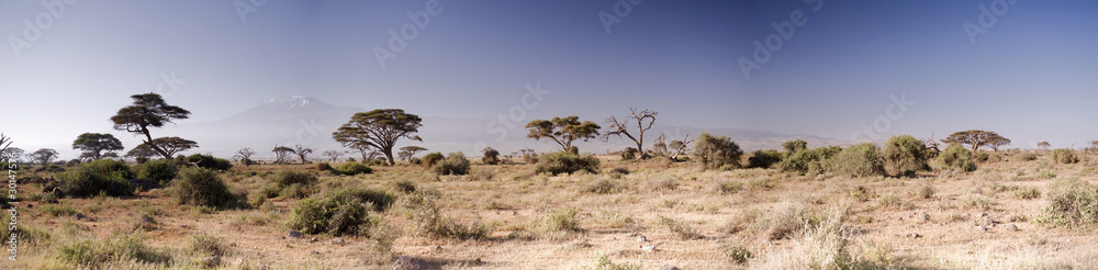 Naklejka premium Amboseli National Park