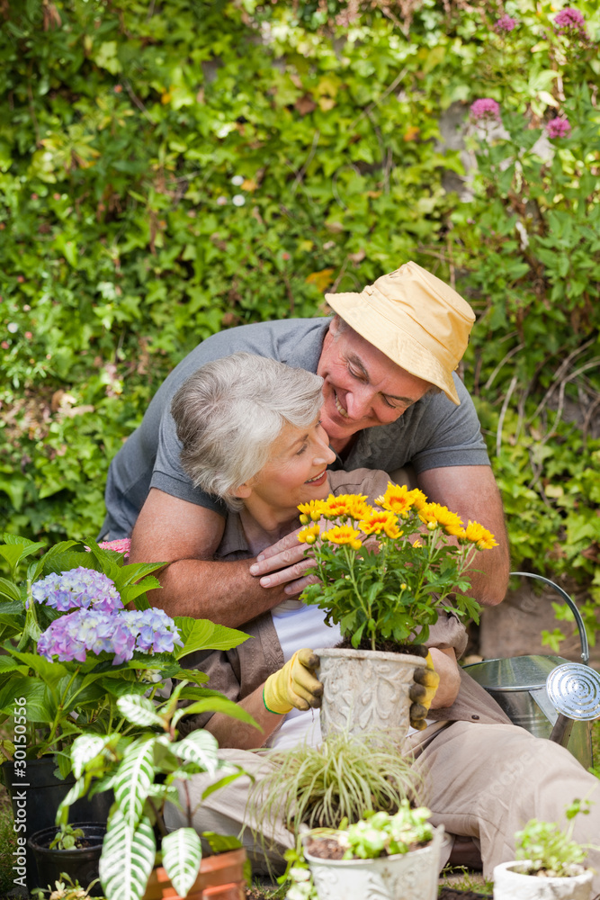 Senior couple working in the garden Senior couple working in the garden