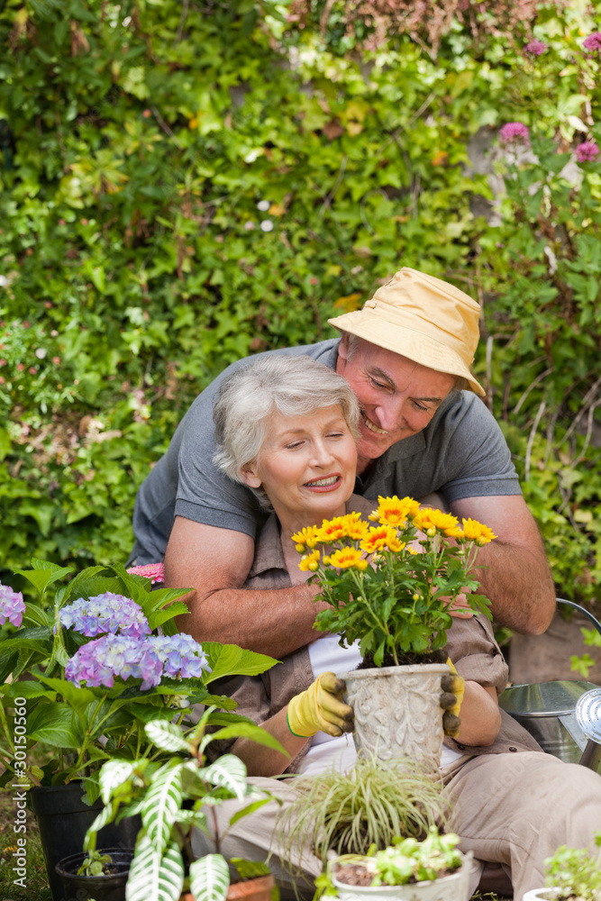 Senior couple working in the garden Senior couple working in the garden