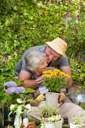 Wallpaper Mural Senior couple working in the garden Torontodigital.ca