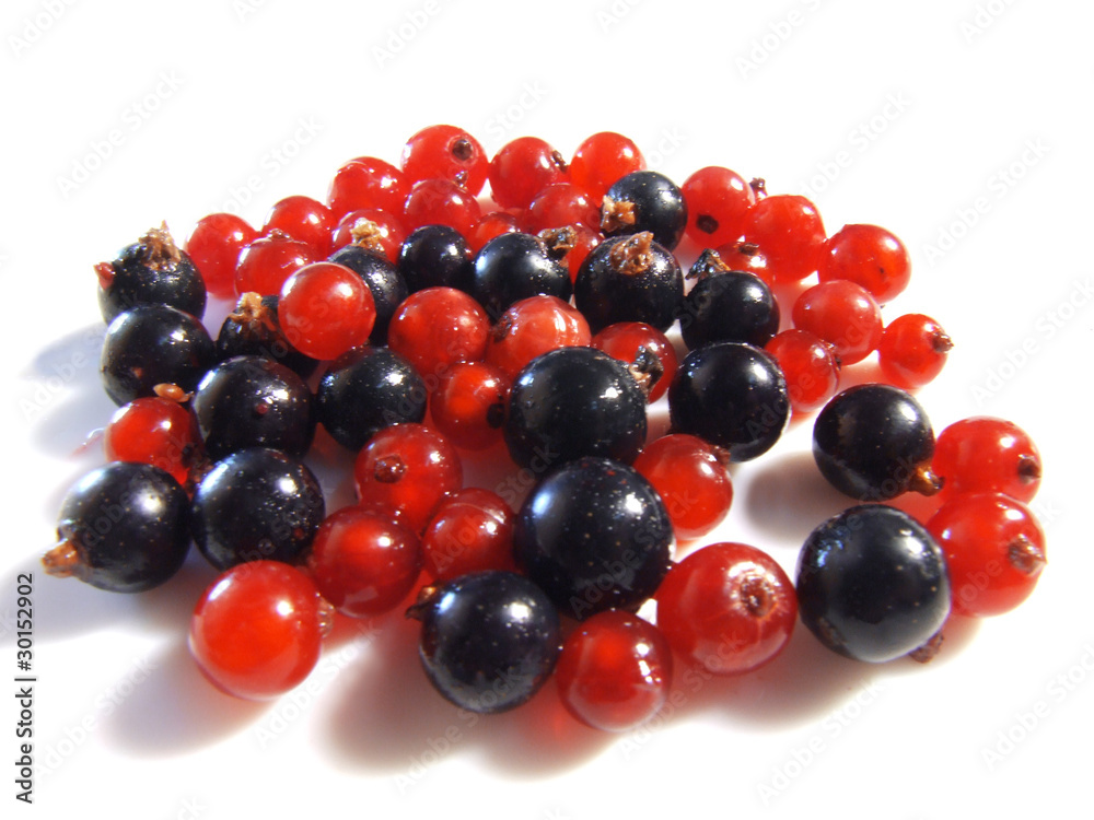 currant currant