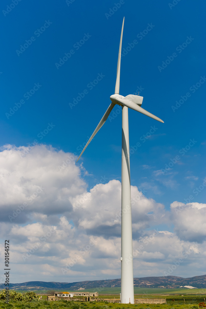 Windmills Windmills