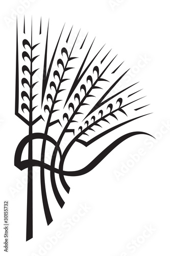 monochrome illustration of wheat ears