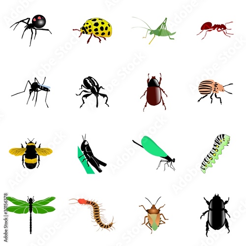 Set of insects. Vector