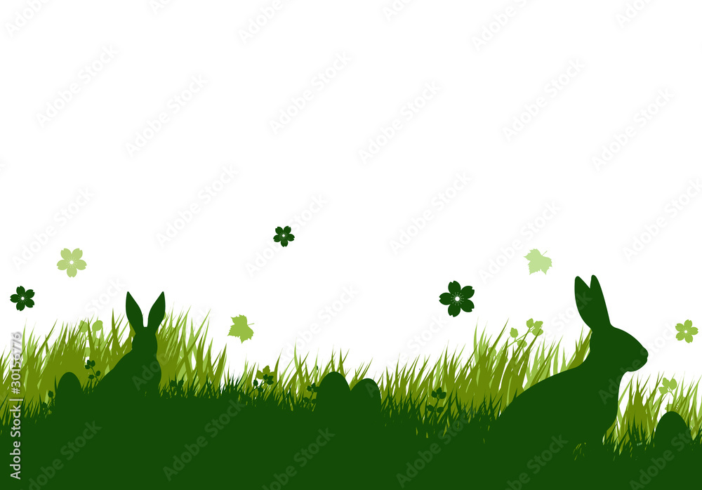 Fototapeta premium Osterwiese