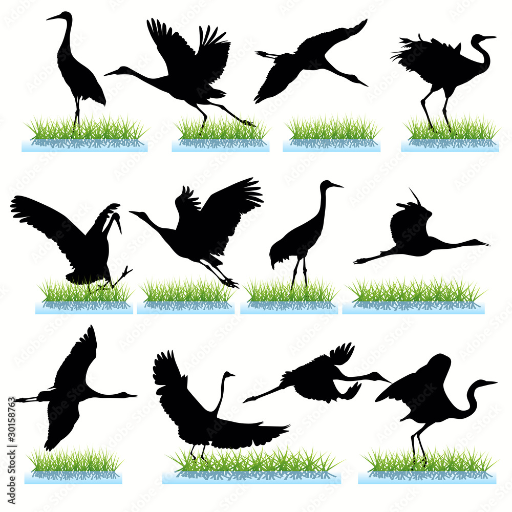 Naklejka premium Cranes silhouettes