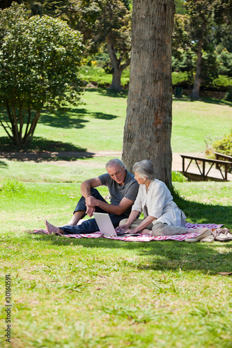 Senior couple  picnicking in the garden