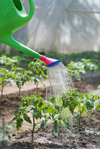 watering-can