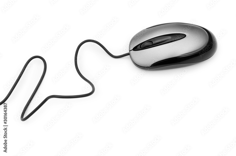Computer mouse isolated on the white background Computer mouse isolated on the white background