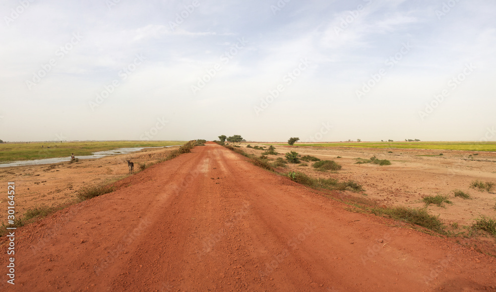 Country road in Mali
