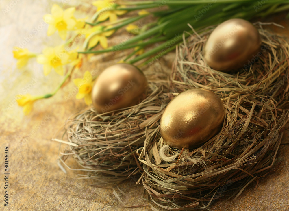 Golden Nest Eggs Golden Nest Eggs