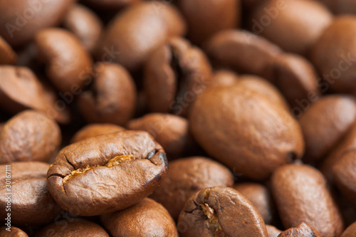 Coffee Beans Closeup