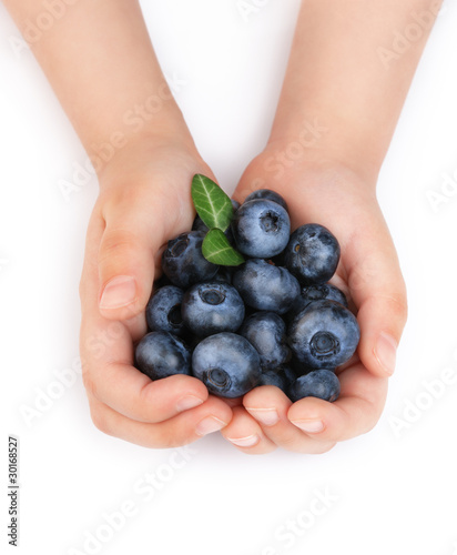 Girls hands holding ripe blueberries