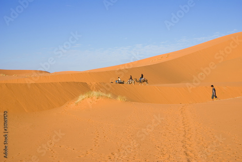 Sahara desert